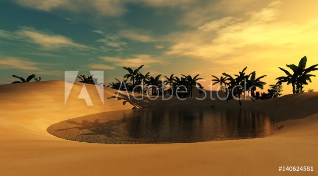Bild på beautiful oasis in the sandy desert a sunset in the desert